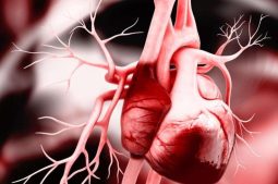 Bệnh tim thiếu máu cục bộ xảy ra khi lượng máu đến tim giảm sút khiến cơ tim không được cung cấp đủ máu, oxy và dưỡng chất cần thiết