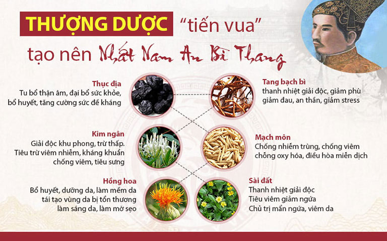 Nhất Nam An Bì Thang sử dụng nhiều thành phần kháng sinh thực vật