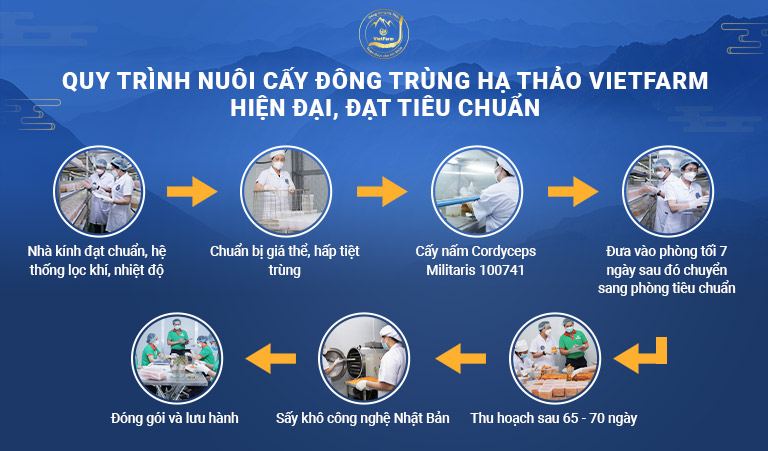 Quy trình nuôi trồng Đông trùng hạ thảo Vietfarm