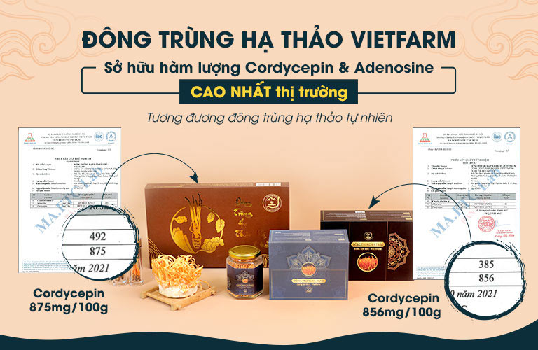 Đông trùng hạ thảo Vietfarm sở hữu hàm lượng hoạt chất cao nhất thị trường