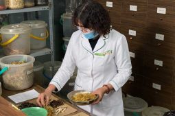 Cách trị nổi mề đay tại nhà được kết tinh từ nền y học cổ truyền