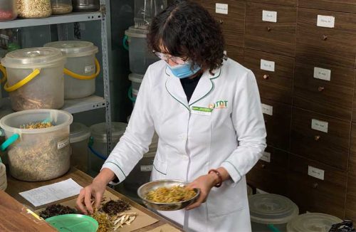 Cách trị nổi mề đay tại nhà được kết tinh từ nền y học cổ truyền