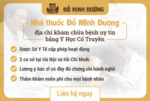 Liên hệ ngay với nhà thuốc Đỗ Minh Đường để được tư vấn