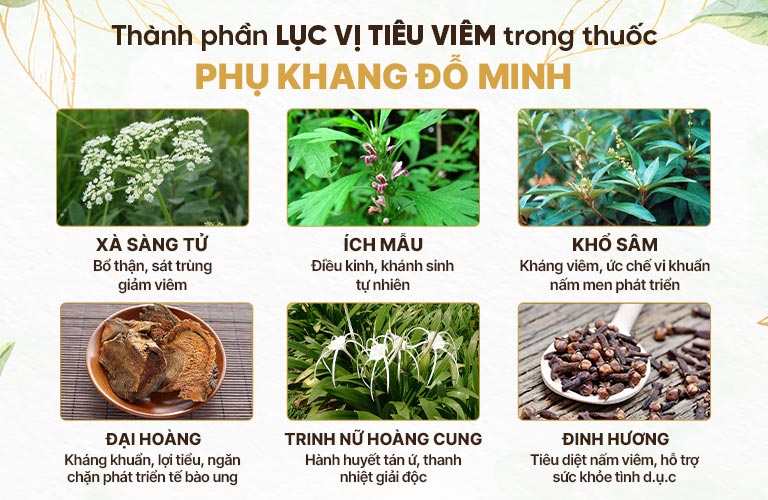 Thành phần LỤC VỊ TIÊU VIÊM trong bài thuốc Phụ Khang Đỗ Minh