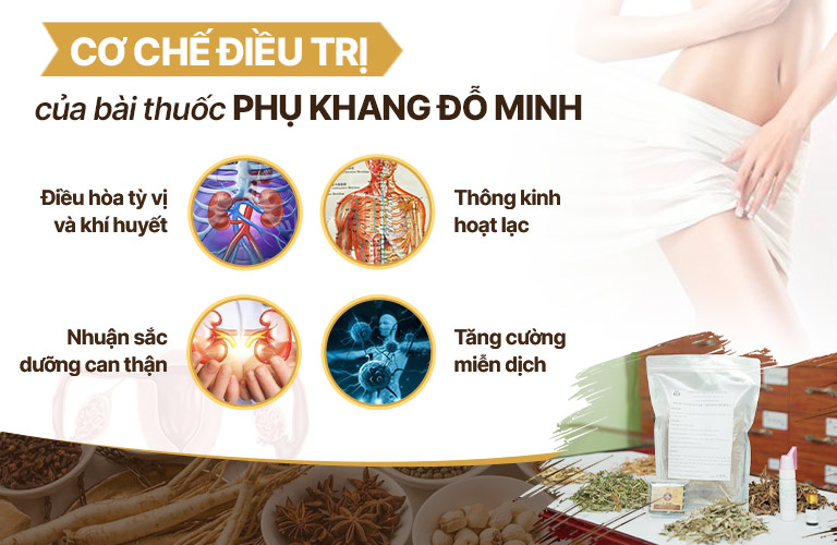 Cơ chế điều trị bài thuốc Phụ Khang Đỗ Minh