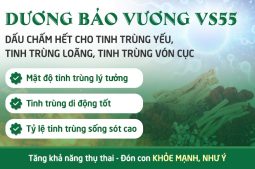 Dương Bảo Vương VS55 Bổ Tinh Trùng Có Tốt Không?