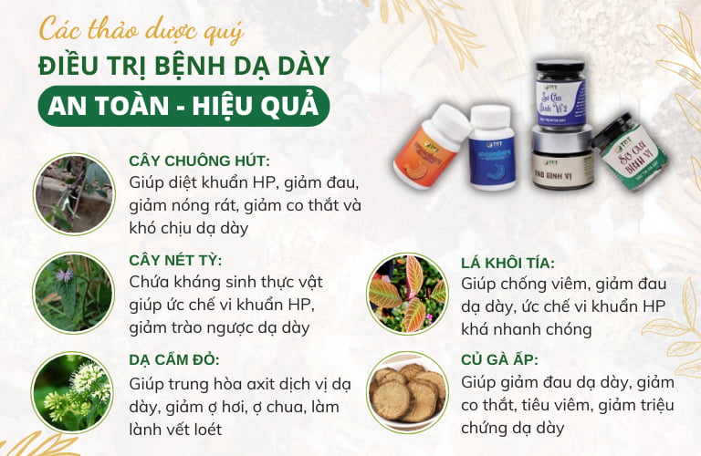 Các thảo dược đặc biệt chỉ có trong bài thuốc