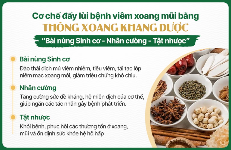 Lý giải về cơ chế điều trị được áp dụng trong bài thuốc