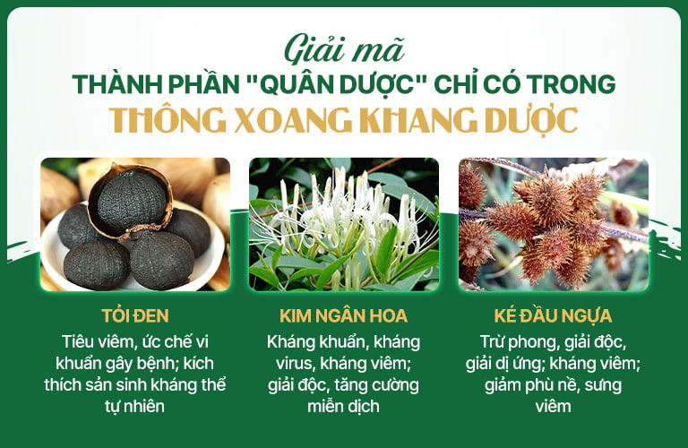 Công dụng của các thành phần quân dược có trong bài thuốc