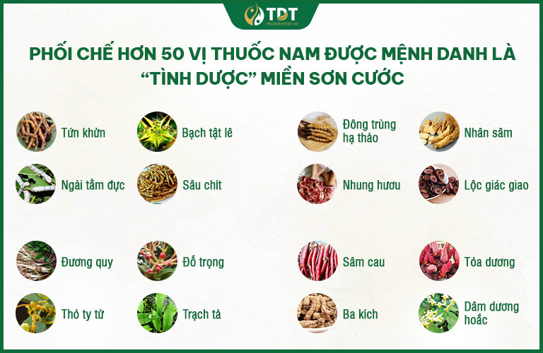 Thành phần dược liệu chủ dược