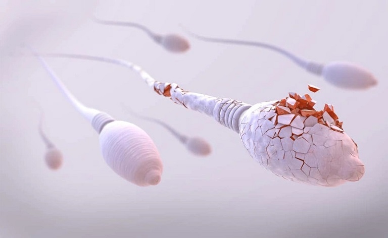 Tinh trùng yếu có thể thụ thai tự nhiên không?