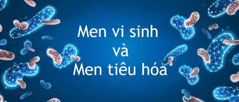 Phân biệt men tiêu hóa và men vi sinh