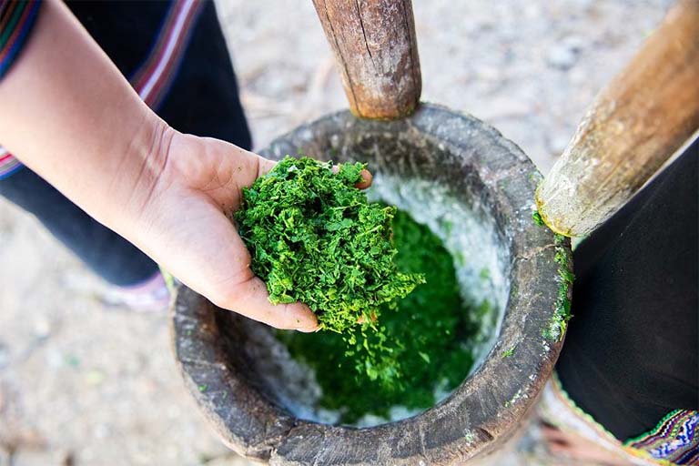 bài đắp thuốc lá lược vàng