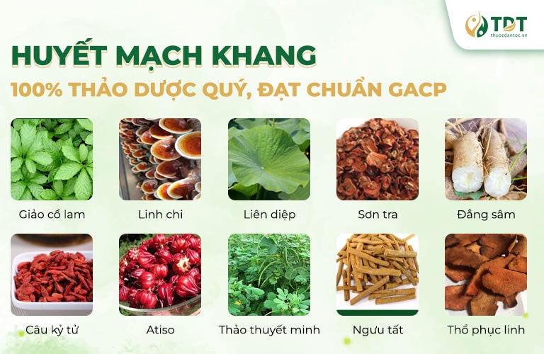 Thành phần thảo dược trong sản phẩm Huyết Mạch Khang