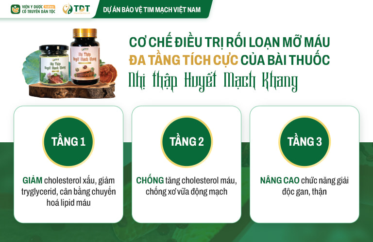 Nhị thập Huyết mạch khang điều trị mỡ máu đa tầng tích cực, đạt hiệu quả toàn diện