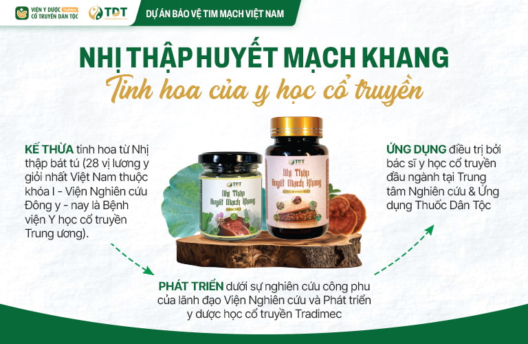 Nhị thập Huyết mạch khang được phát triển trên nền tảng tinh hoa YHCT chính thống