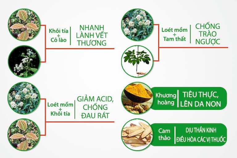 Các vị thuốc có tác dụng chữa trào ngược dạ dày của Sơ can Bình vị tán