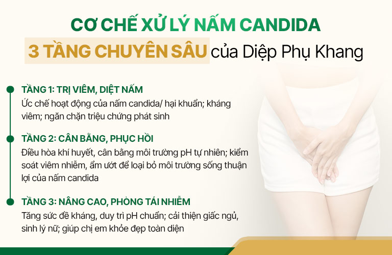 Cơ chế điều trị viêm nấm của bài thuốc Diệp Phụ Khang