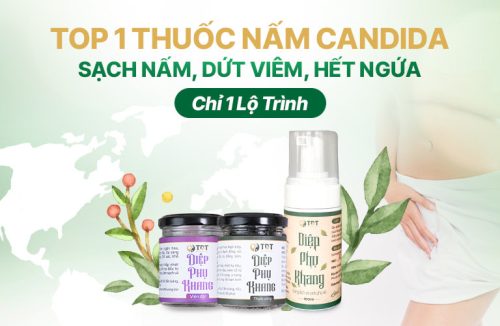 Diệp Phụ Khang Chữa Nấm, Tạp Khuẩn Viêm Âm Đạo Có Khỏi Không?