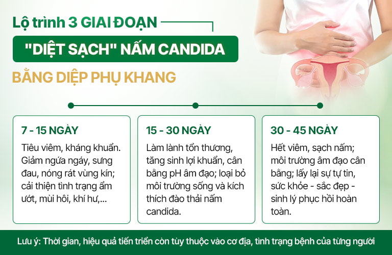 Lộ trình bài thuốc Diệp Phụ Khang xử lý viêm âm đạo do các loại nấm, tạp khuẩn