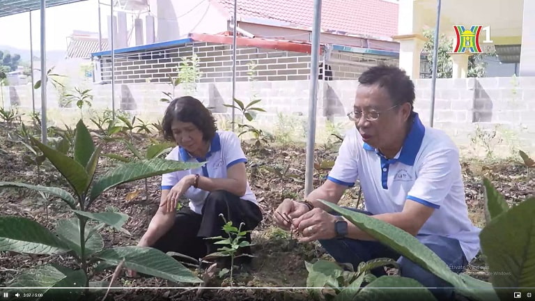 BS Tuyết Lan thường xuyên thực nghiệm, tìm kiếm dược liệu để phát triển kho tàng thảo dược YHCT