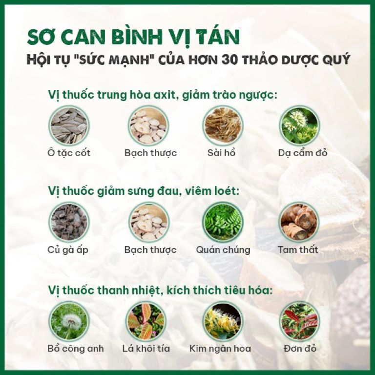 Thành phần bài thuốc Sơ can Bình vị tán