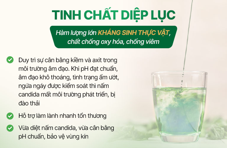 Hiệu quả vượt trội nhờ tinh chất diệp lục trong bài thuốc Diệp Phụ Khang