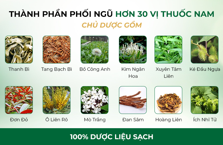 Thành phần phối ngũ hơn 30 vị thuốc Nam