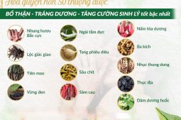 Bài thuốc sinh lý nam Thuốc Dân Tộc