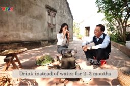 VTV4| Tinh hoa Thuốc Nam: Diệp Hạ Châu - Cỏ dại chữa bệnh gan