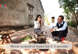 VTV4| Tinh hoa Thuốc Nam: Diệp Hạ Châu - Cỏ dại chữa bệnh gan
