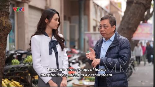 VTV4| Tinh hoa thuốc Nam: Lá xông giải cảm