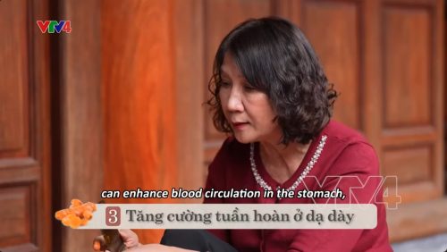 VTV4| Tinh hoa thuốc Nam: Củ nghệ - Gia vị làm thuốc chữa bệnh dạ dày hiệu quả