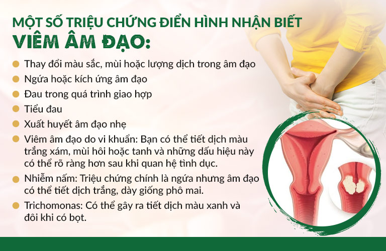 Triệu chứng điển hình của viêm âm đạo chị em cần nắm rõ Triệu chứng điển hình của viêm âm đạo chị em cần nắm rõ