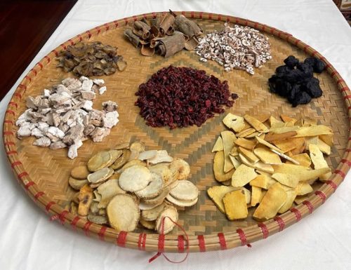 Bài thuốc Bát vị thang hiện đang được ứng dụng tại Trung tâm Thuốc dân tộc