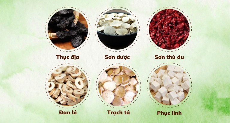 Các thành phần chính làm nên bài thuốc Bổ thận âm (Lục vị thang)