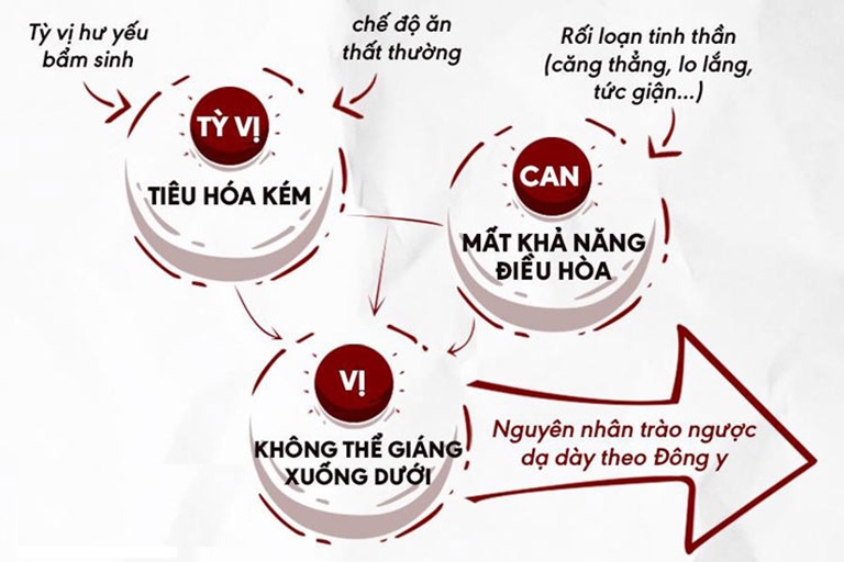 Muốn xử lý ổn định trào ngược, cần giải quyết được các căn nguyên gốc bệnh từ bên trong