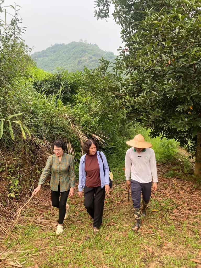 Bác sĩ Tuyết Lan và bác sĩ Nguyễn Thị Nhuần trực tiếp đi khảo sát các vùng trồng dược liệu tại Hà Giang