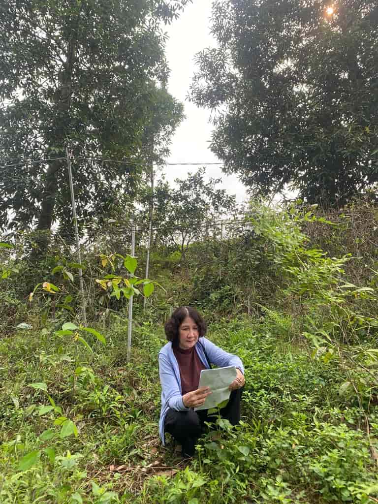 Bác sĩ Tuyết Lan trong buổi khảo sát vườn bảo tồn dược liệu tại Hà Giang