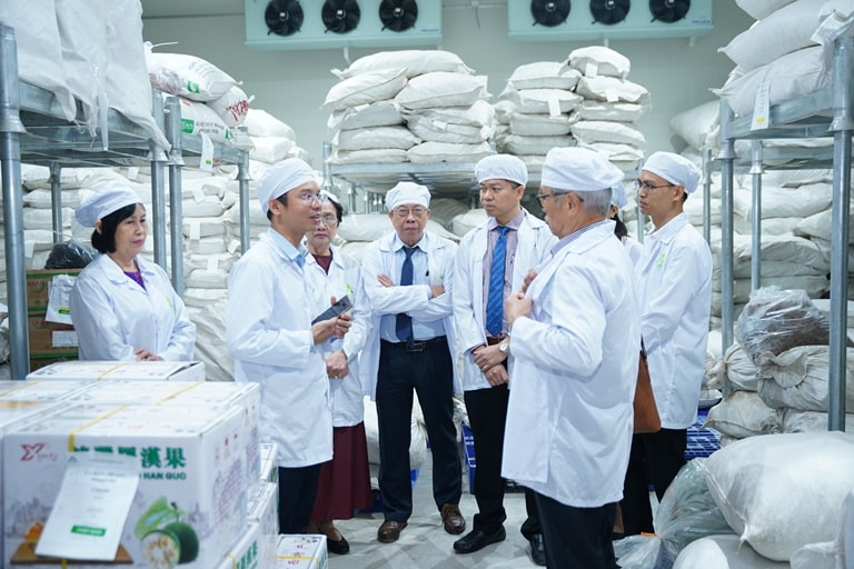 Dược liệu thu mua được chuẩn hóa từ vùng trồng đến nhà máy Dược liệu thu mua được chuẩn hóa từ vùng trồng đến nhà máy