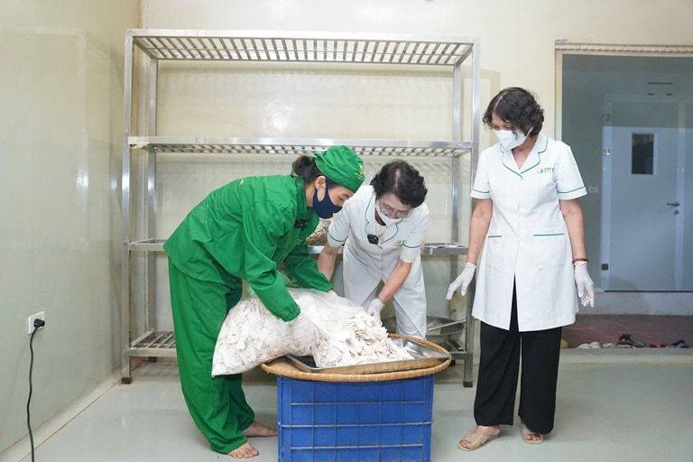 Đội ngũ bác sĩ trực tiếp "mục sở thị" quy trình sơ chế từng vị thuốc