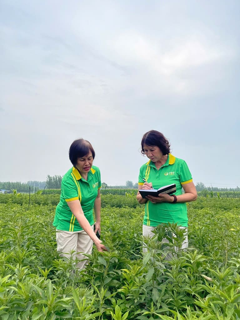 Từng đặc tính của cây, điều kiện trồng, thổ nhưỡng đều được ghi chép cẩn thận, kỹ lưỡng làm tài liệu về sau