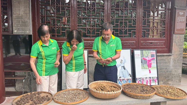 Đội ngũ bác sĩ tham quan trải nghiệm tại khuôn viên đền thờ